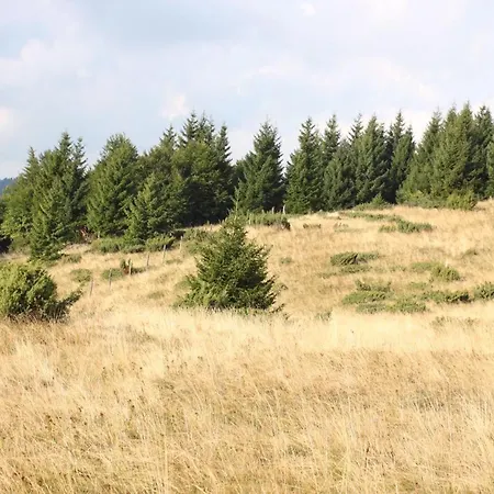 Apartament Squadra Kopaonik