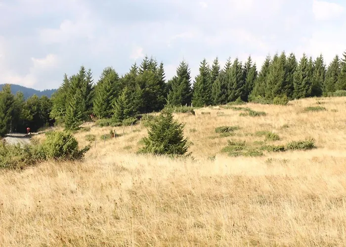 아파트 Squadra 카파오닉